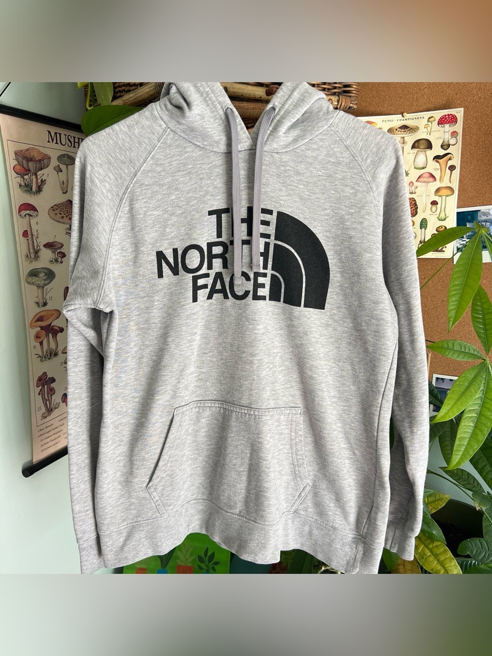 North Face hoodie
